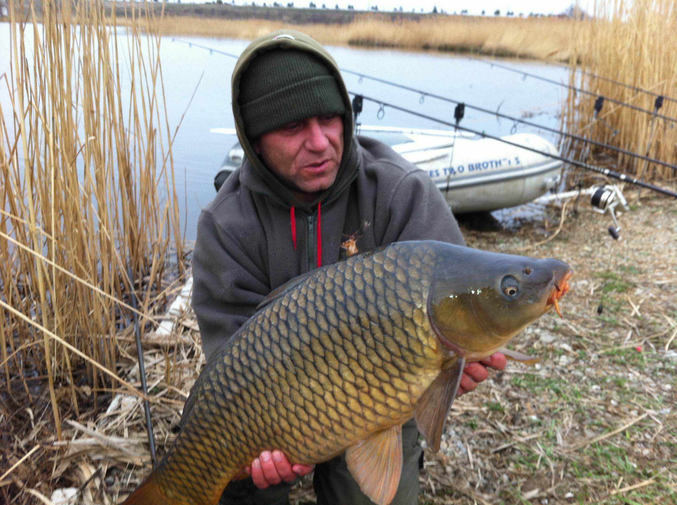 Tancabesti 2012 - aprilie 2012 021.JPG